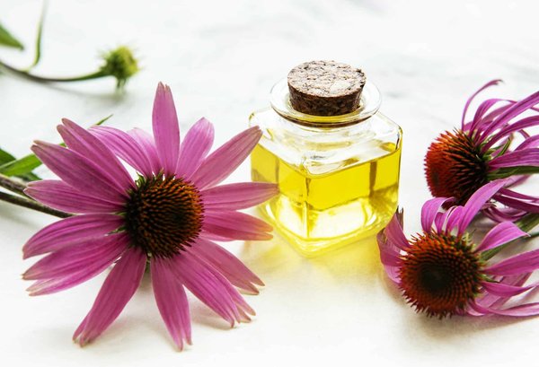 Comment comprendre l'effet du chanvre sur l'organisme : mythes et réalités ?